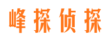 松山商务调查